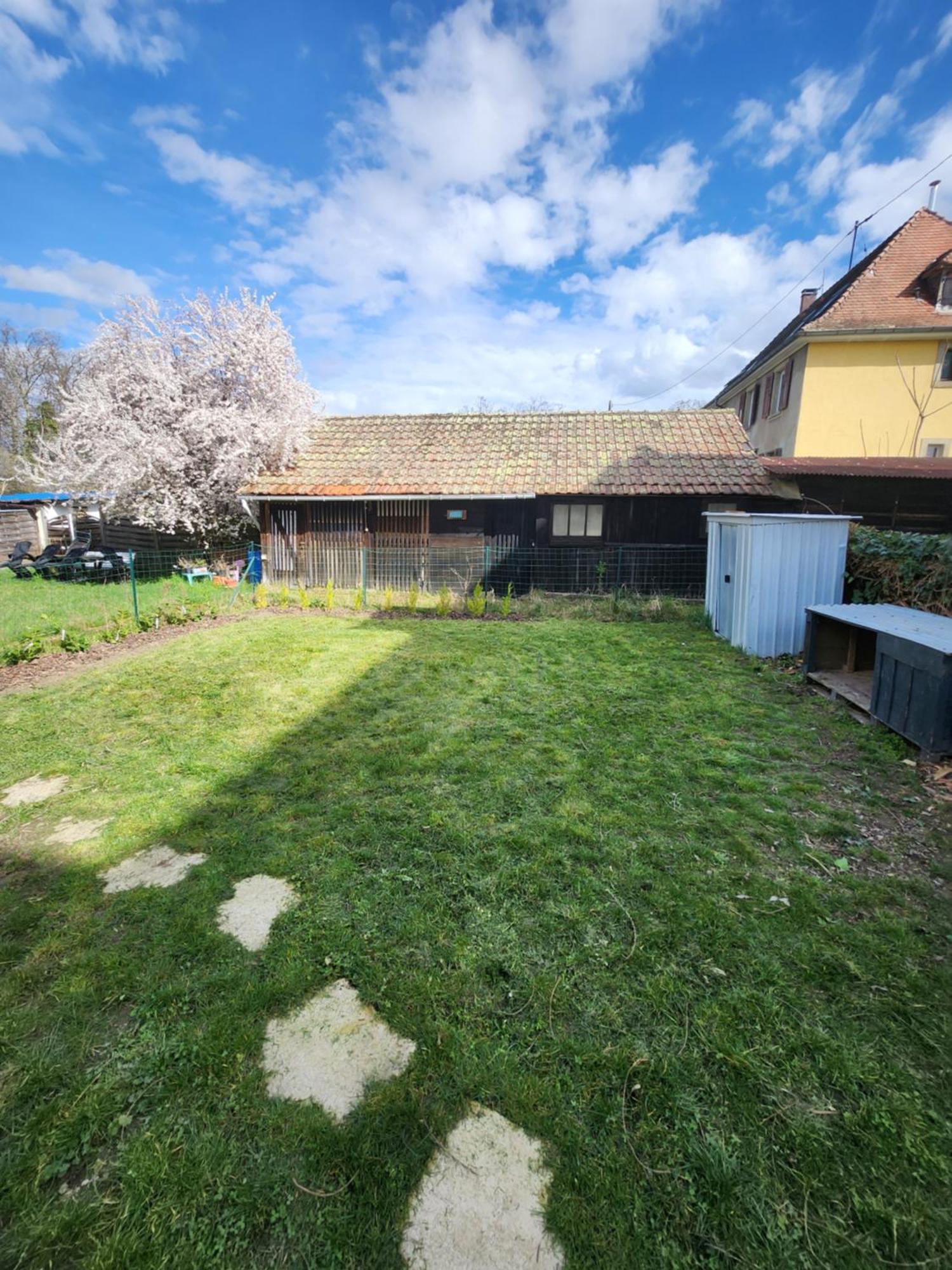 Gite Du Logelbach Wintzenheim Extérieur photo